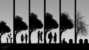 tumblr_lu45jqn8rj1r5sqxno1_400_large